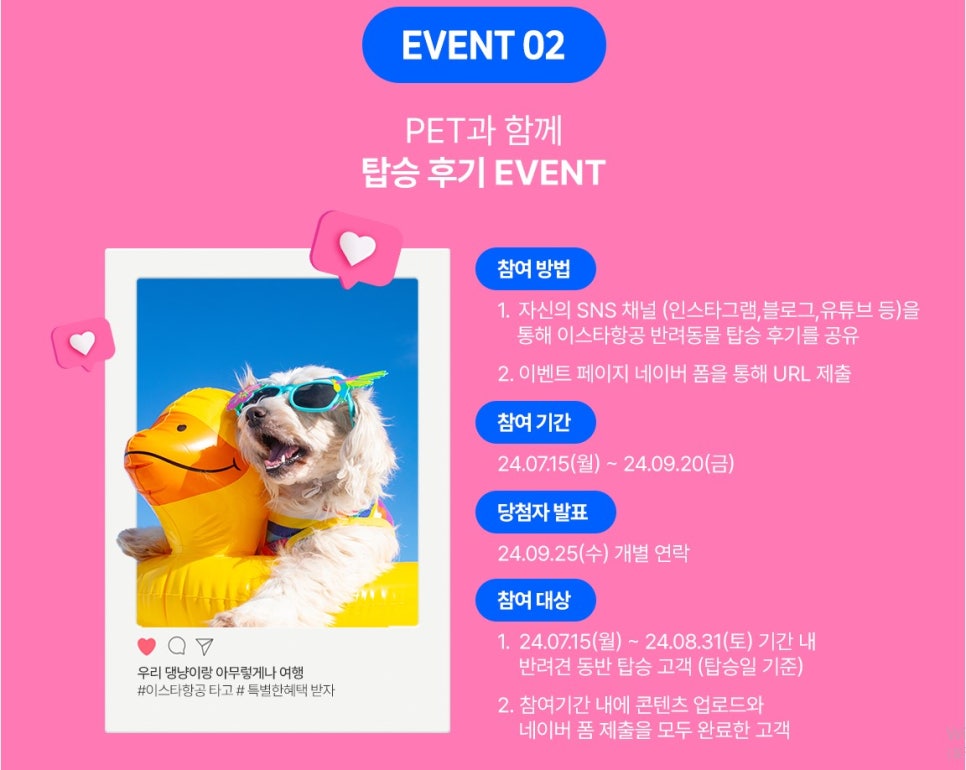 디어펄스 이미지