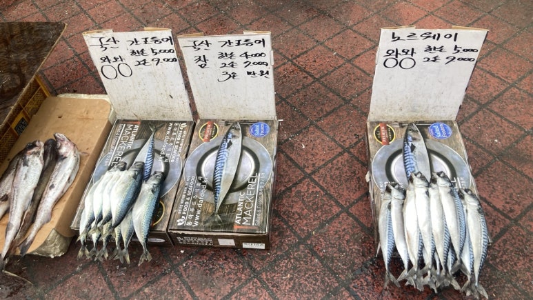 담가불라 이미지