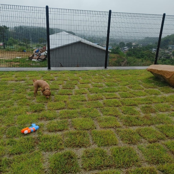 포레스트258/포레스트258펜션 이미지