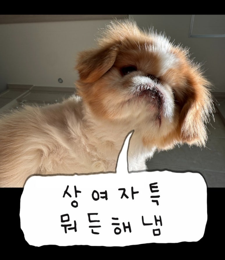 페인스톰잠실 이미지