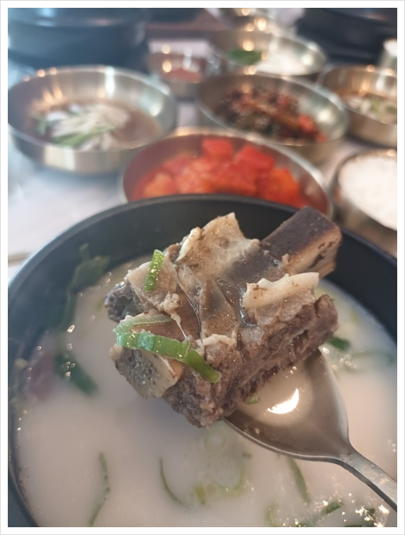 서울깍두기 이미지