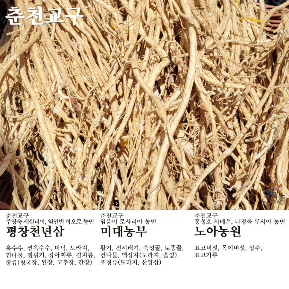 평창천년삼 이미지