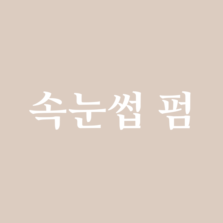 르네41 이미지