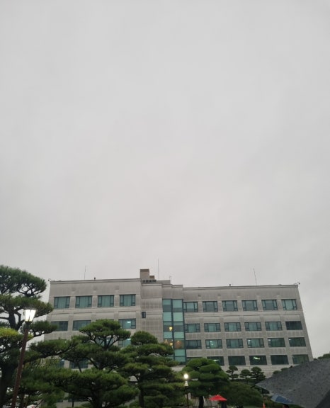 송일관 이미지