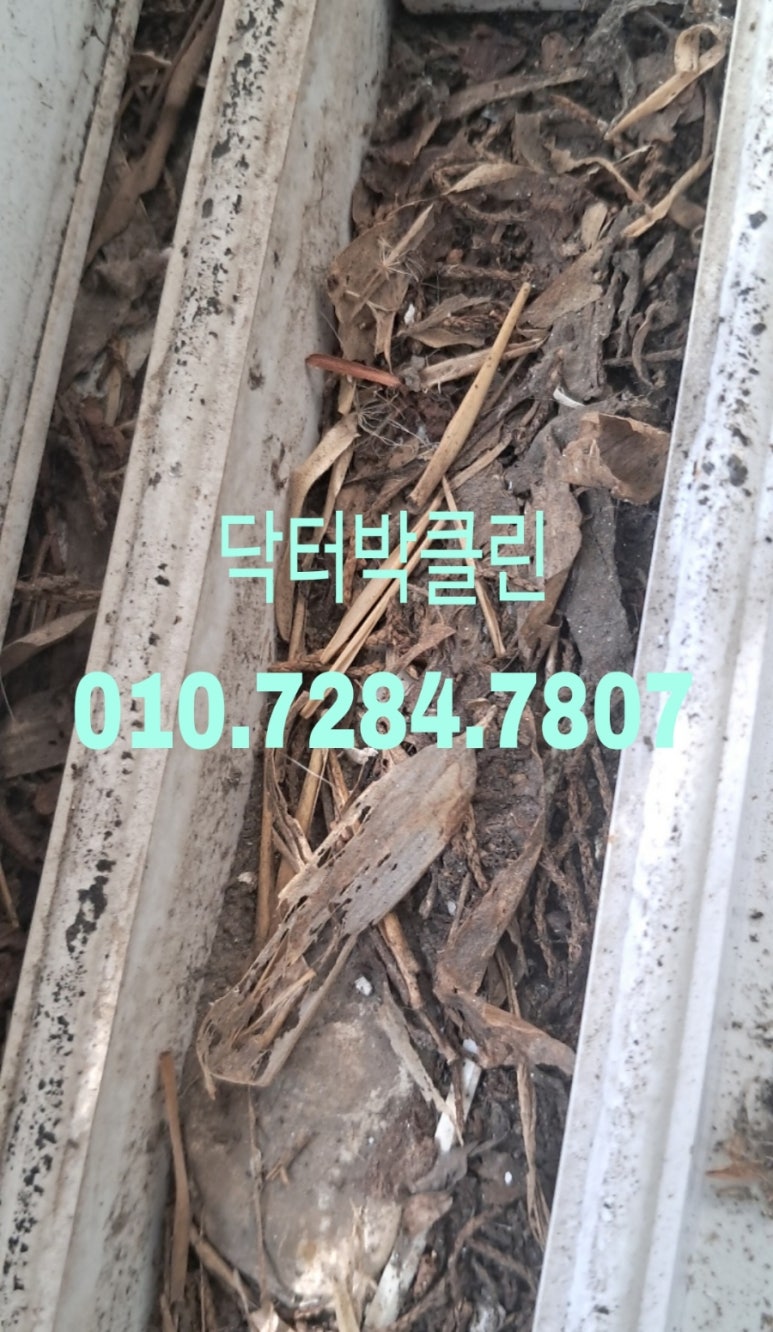 닥터박클린 이미지