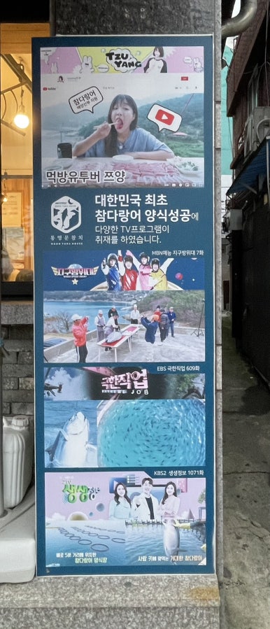 통영문참치 이미지