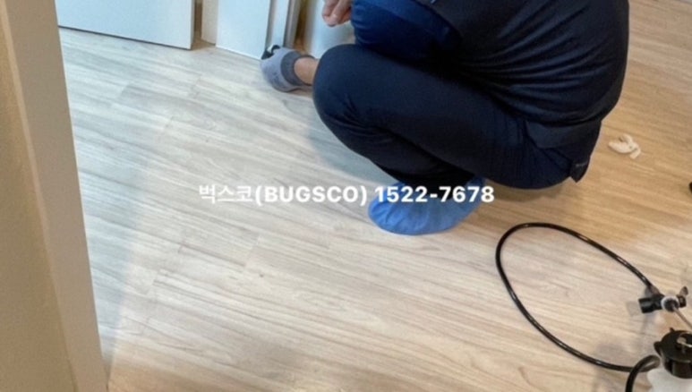 벅스코 이미지