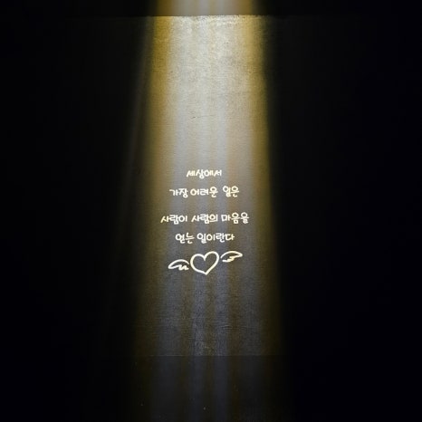 녹테마레 이미지