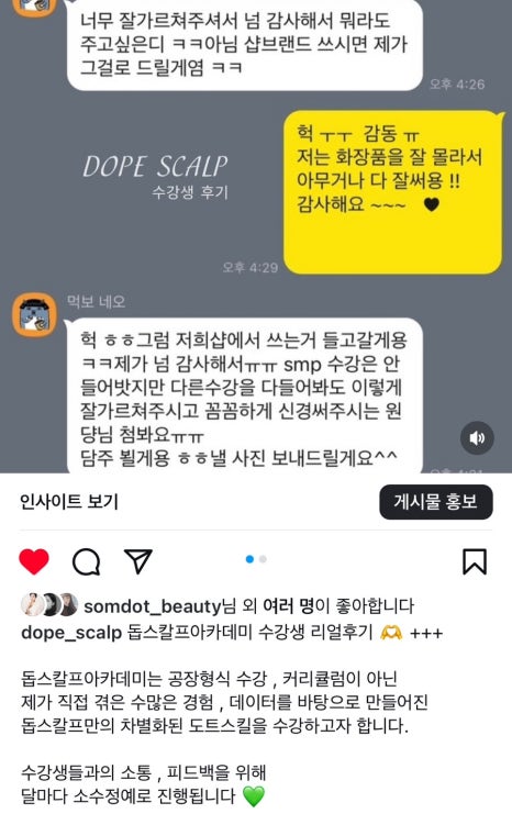 돕스칼프 이미지