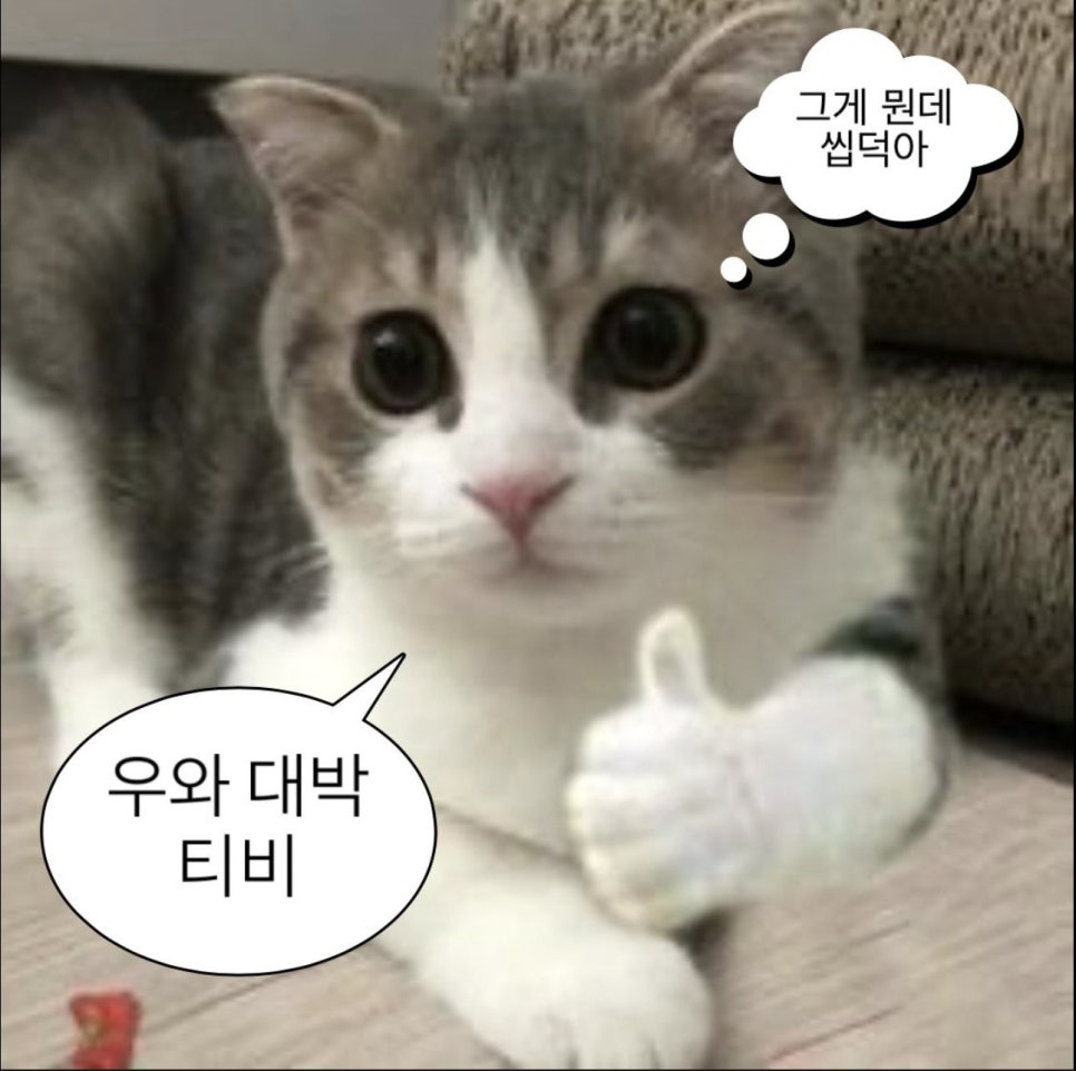 파르코 이미지