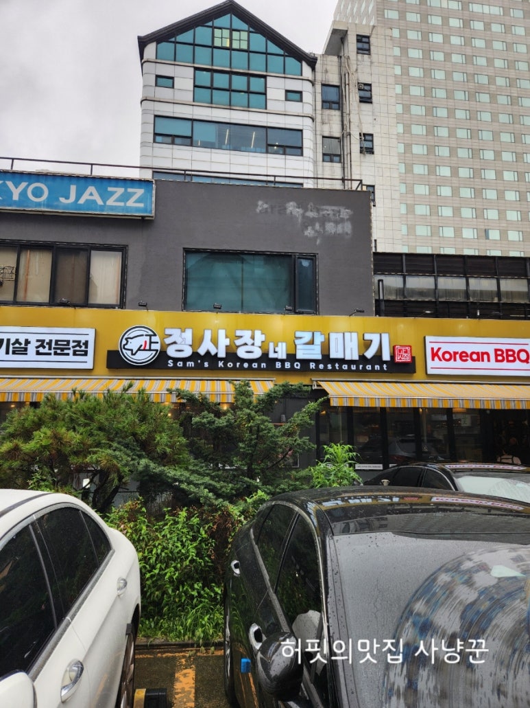 정사장네갈매기 이미지