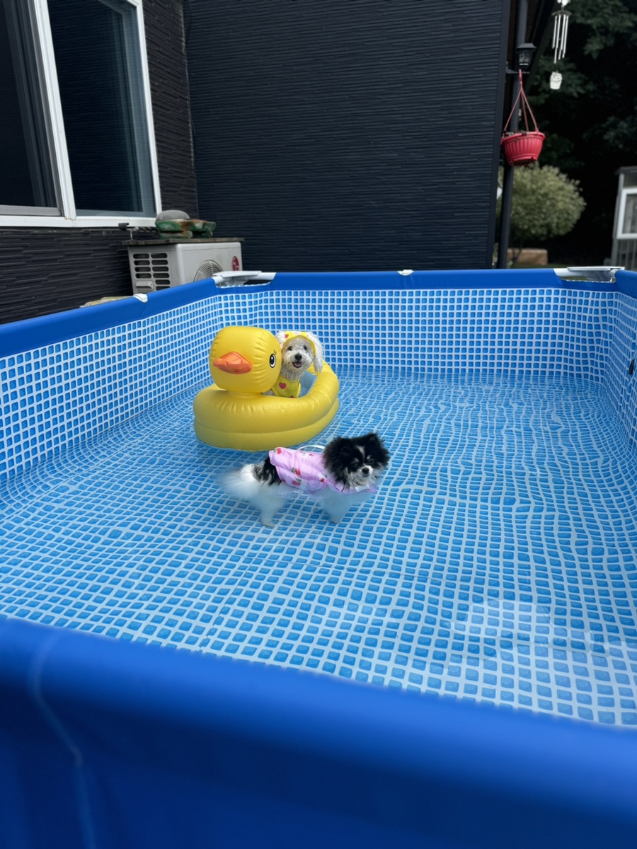 숲정 이미지