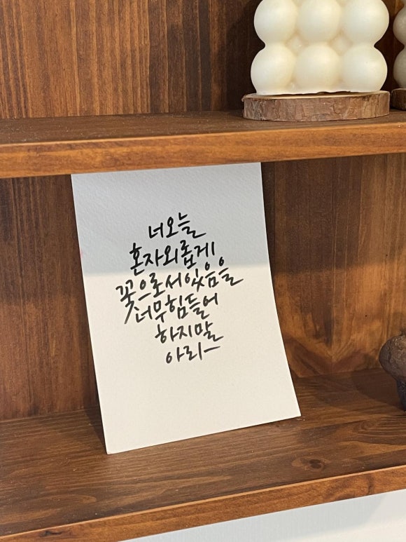 오늘도빛날꽃 이미지