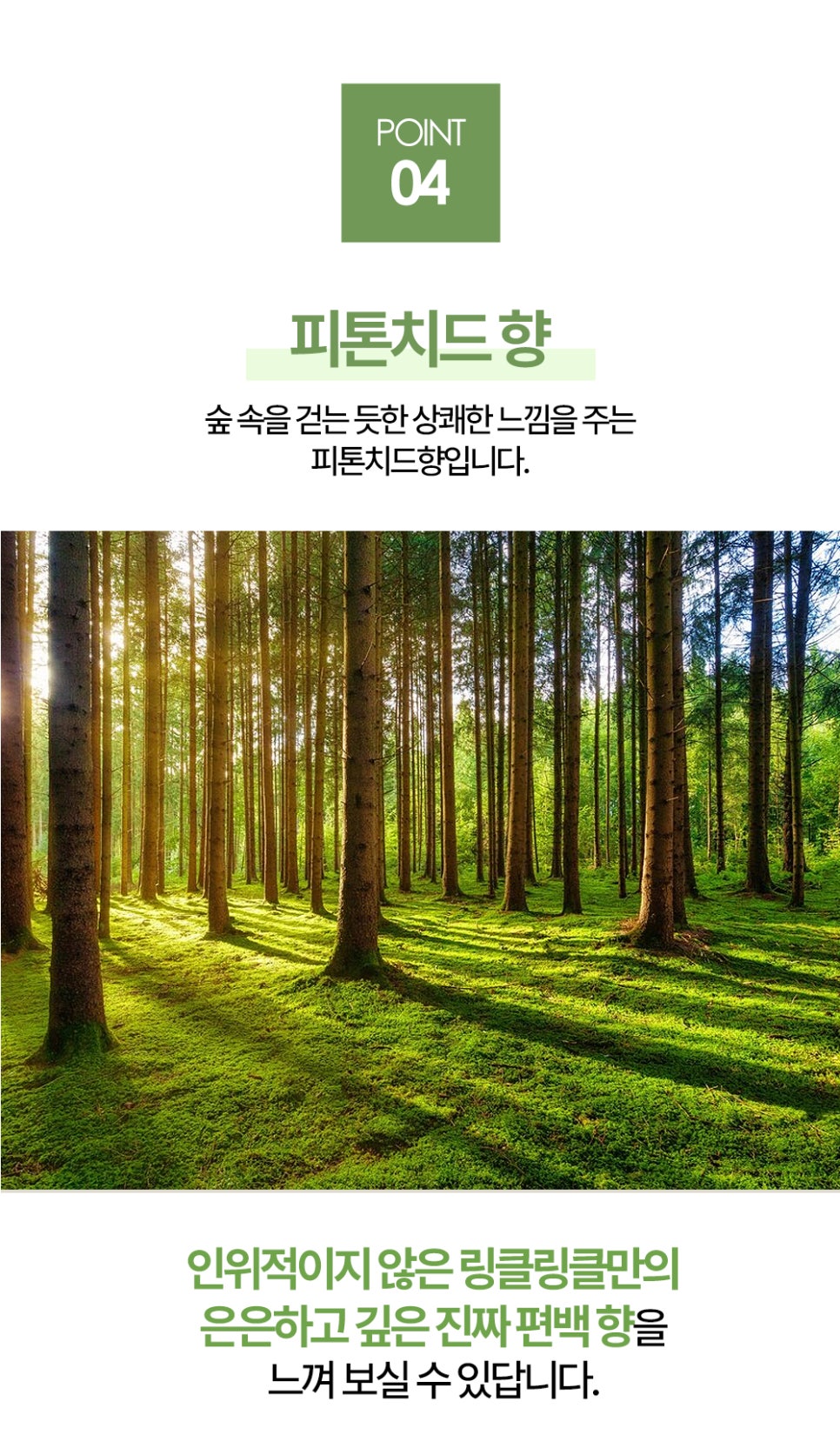 뿌리세탁소 이미지