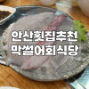 막썰어회 사진 4