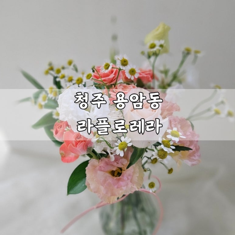 라플로레라 이미지