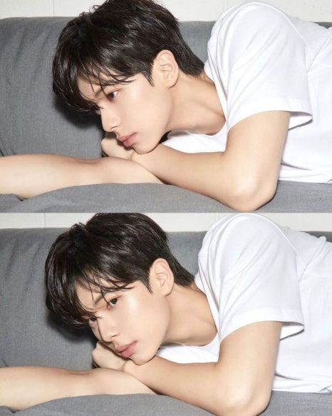 퍼블릭헤어 이미지
