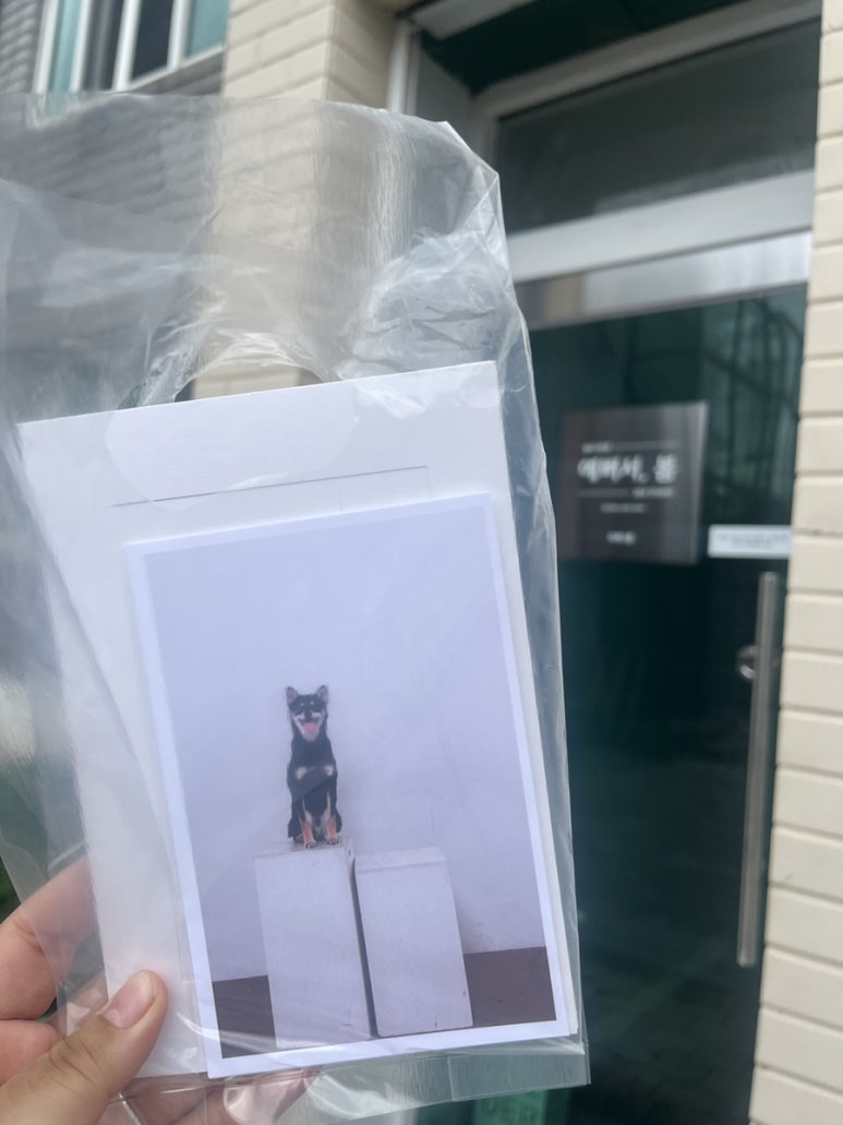 인화짜장 이미지