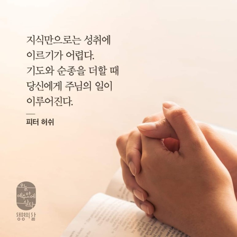 큐티하랑 이미지