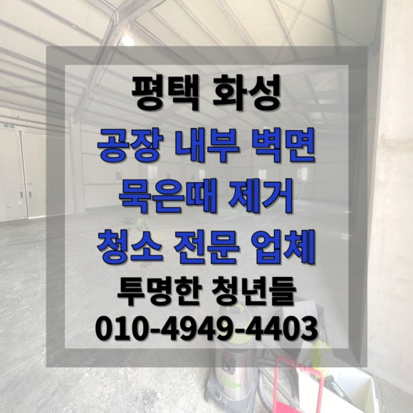 투명한청년들 이미지
