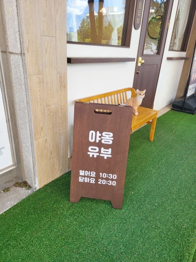 야옹유부 이미지