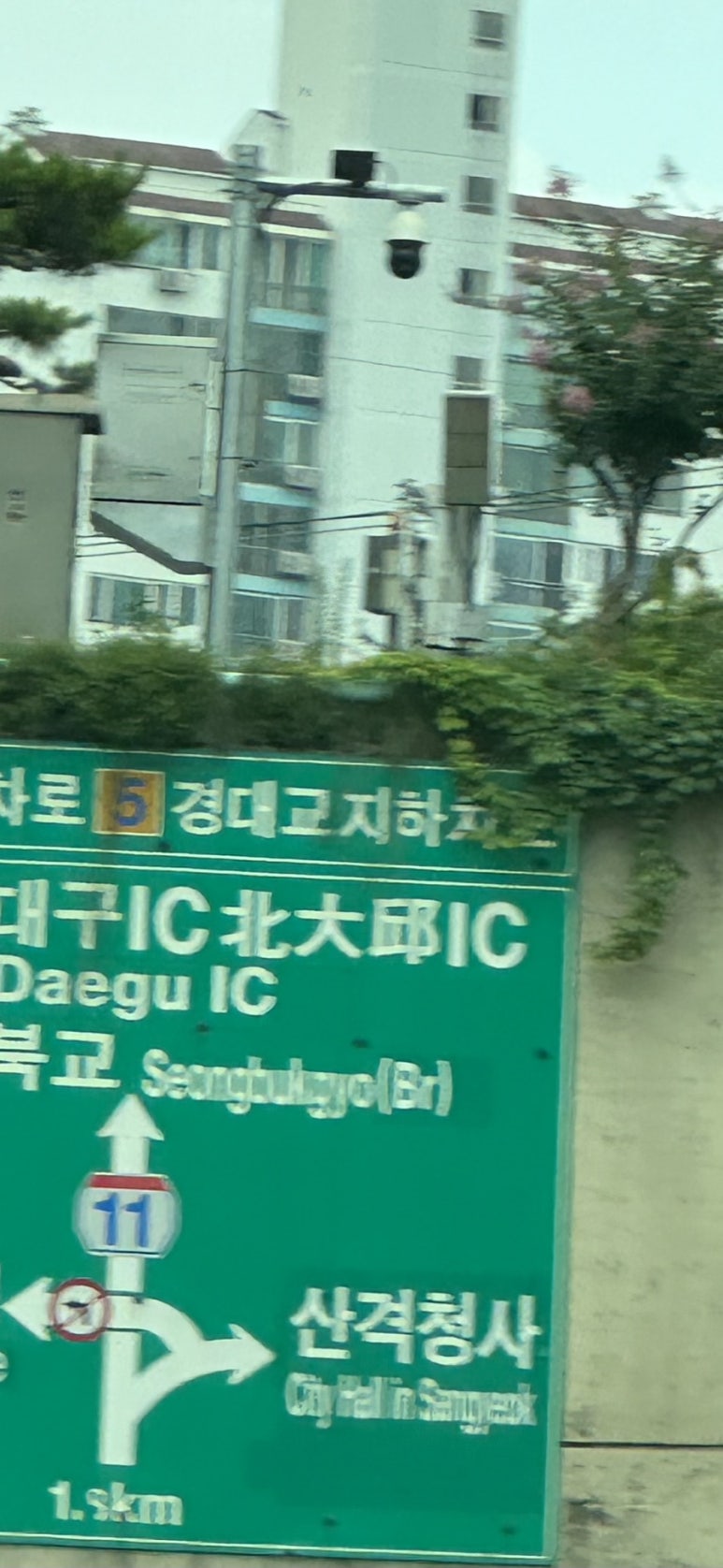 서울하이치과 이미지