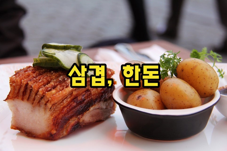 김밥만두국가대표 이미지
