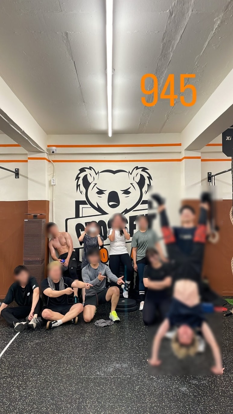 크로스핏코알라 이미지