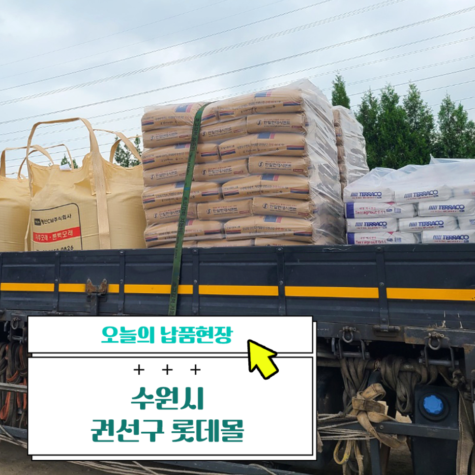 테라미장 이미지