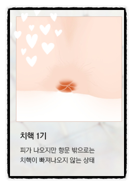 항상쾌한외과 이미지