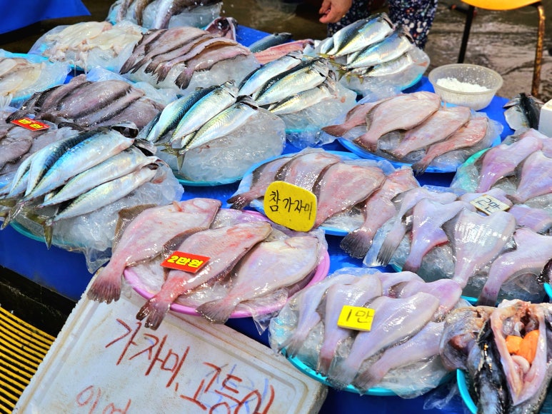 수산시장 이미지