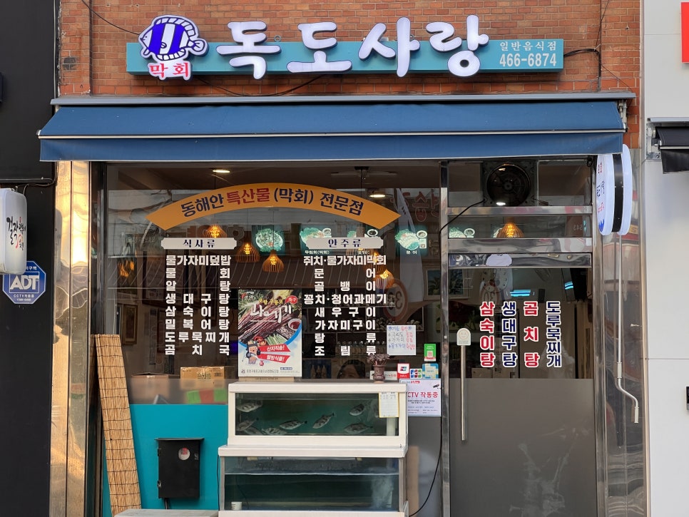 독도막회 이미지