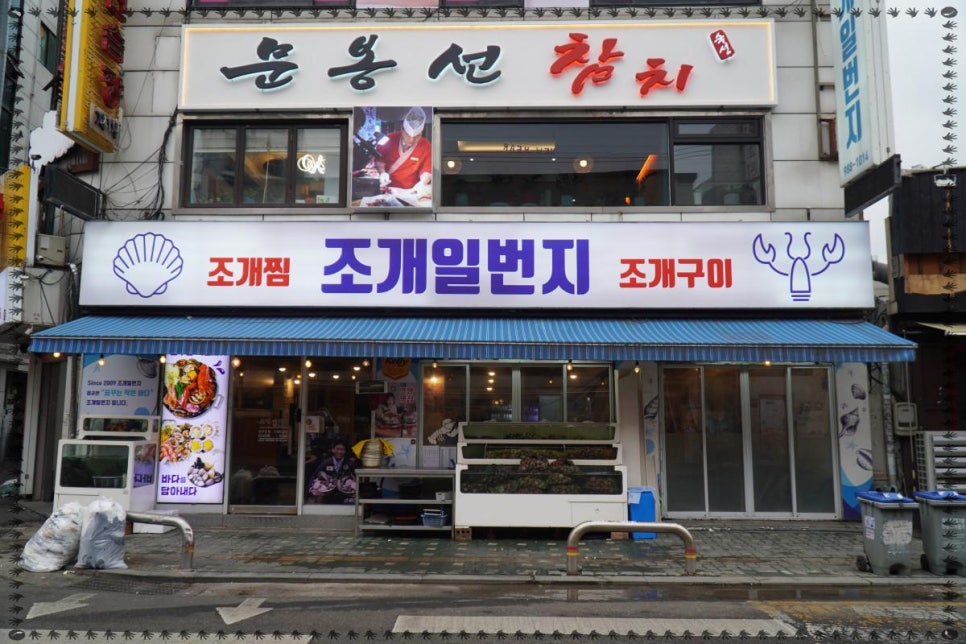 생생조개 이미지