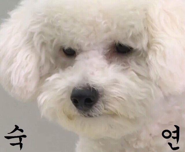 혼돈 이미지