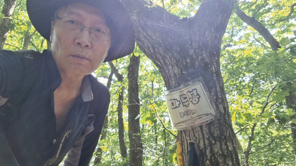 사초지대 이미지