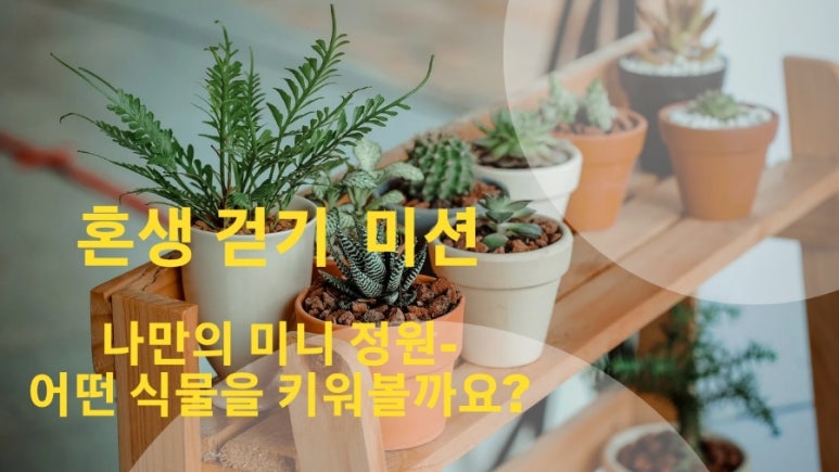 나의미니정원 이미지