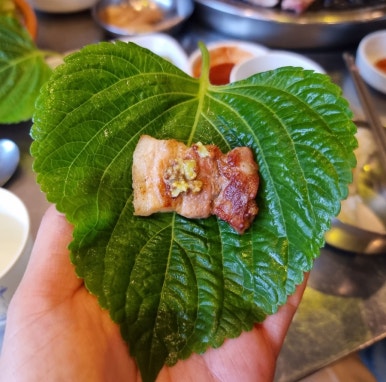 돈탄90 이미지