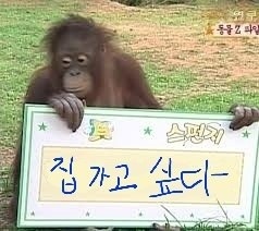 친구노래클럽 이미지