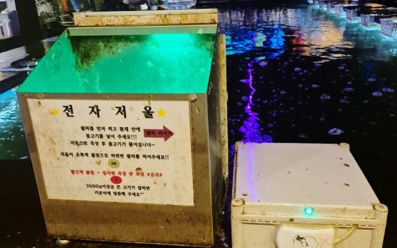 피쉬쥬낚시카페 이미지
