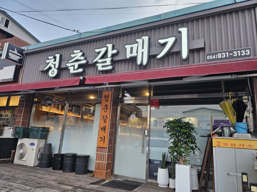 청춘갈매기 이미지