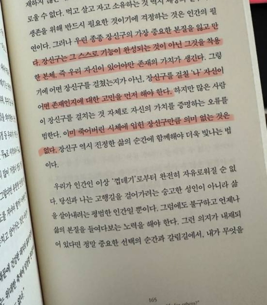 파노플리 이미지