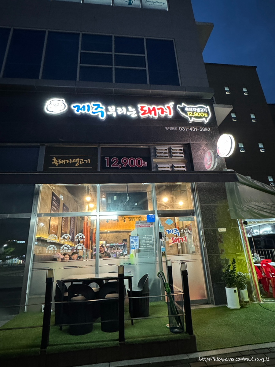 제주부리는돼지 이미지