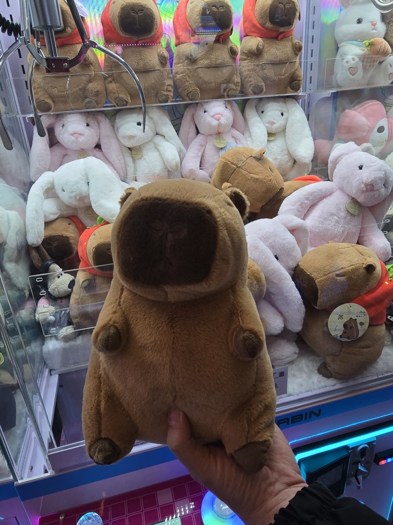 고고오락실 이미지