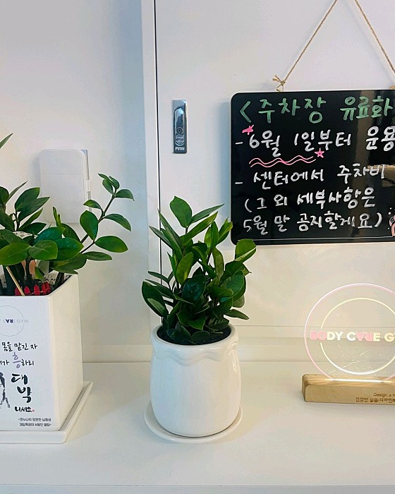 바디케어짐 이미지