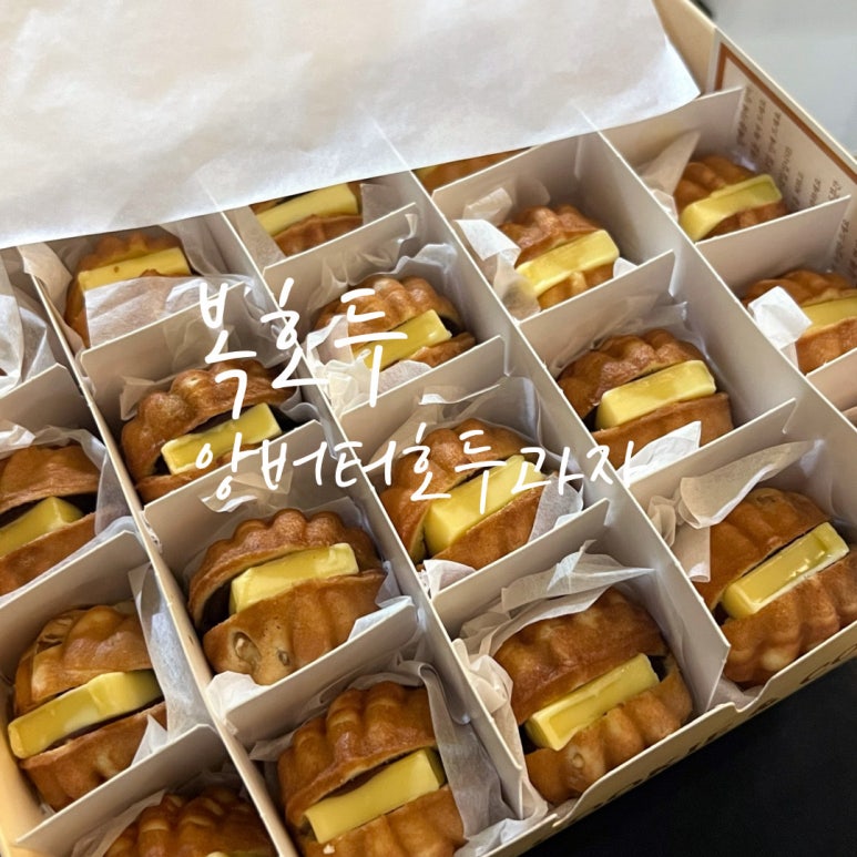 복호두아산 이미지