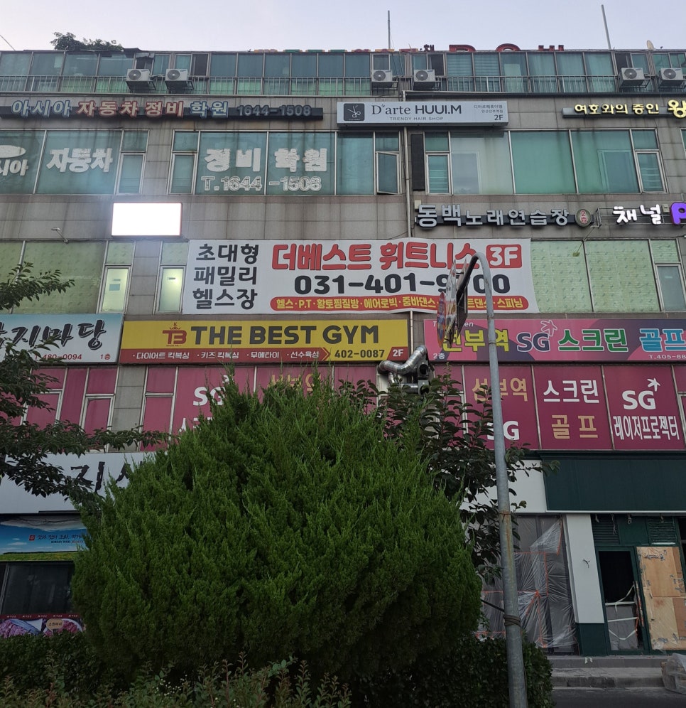 모닝스타트기획 이미지