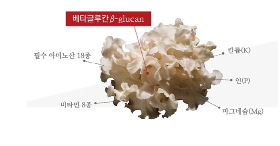 (주)글루칸 이미지