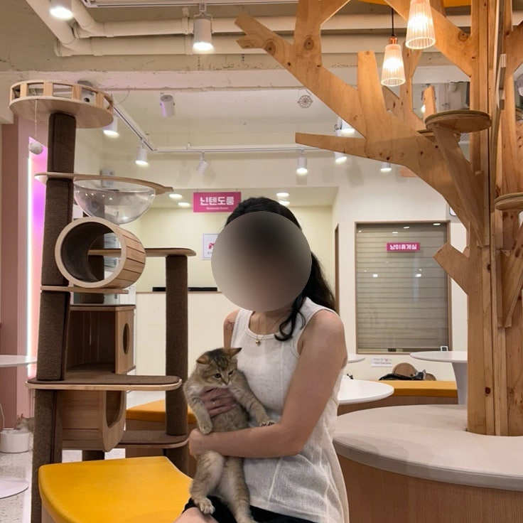 냥이싸롱 이미지