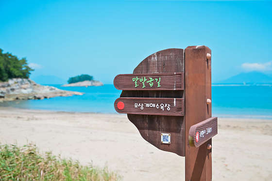 사우스마린스파펜션 이미지