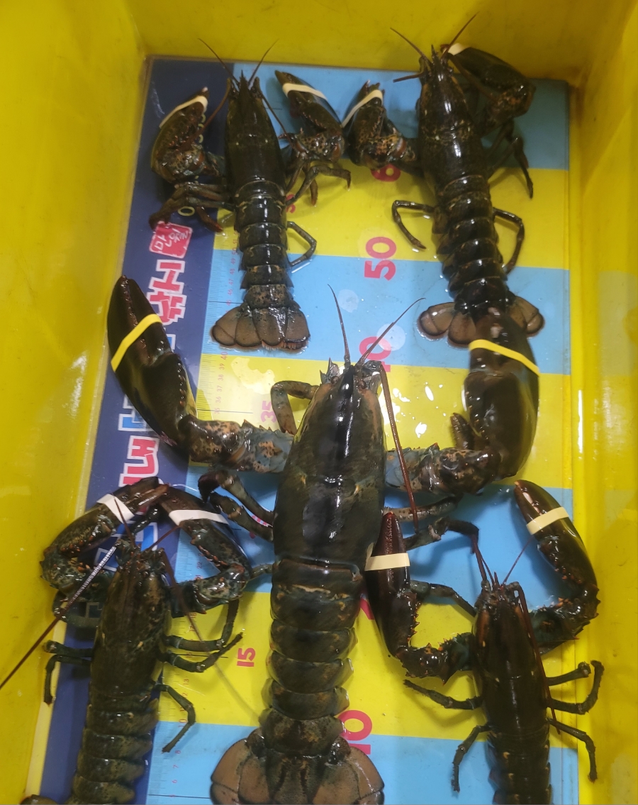 부산실내바다낚시터 이미지